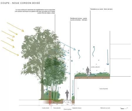 MIDarchitecture - Charte d'aménagement des espaces publics dans le quartier de Rosemont aux Eaux-Vives, Genève